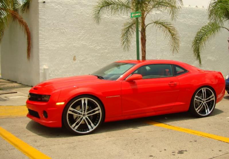 2010 Camaro SS: Yellow w/black