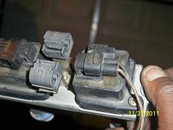 FS supra coil packs and pigtails-picture-191.jpg