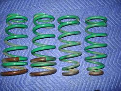 98-05 Tein S Tech Springs-dsc00664.jpg