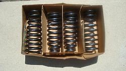 Eibach Pro-Kit Lowering Springs-dsc01649.jpg