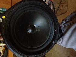 FS nakamichi 10 inch stock subwoofer-photo.jpg