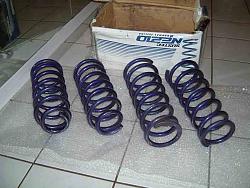 FS:  Tanabe NF210 springs-tanabenf210_2_1.jpg