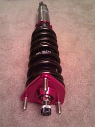 FS. Megan LP Coils-img_20110907_211442.jpg