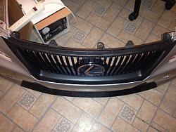 2009/2010 IS250/350 grille-image.jpg