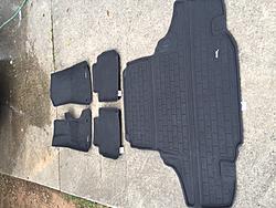 Lexus GS350 AWD floor mats and car cover-img_1380.jpg