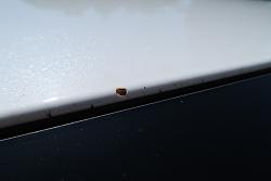 Rusting rock chips-img_0219.jpg