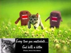 Clean SC300 (56K beware)-kitten.jpeg