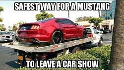 Guy Crashes Mustang Leaving Auto Show, Perpetuates Mustang Owner Stereotypes-clipboard012.jpg