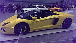 Sights from the Chicago Auto Show-imag2521-1-.jpg