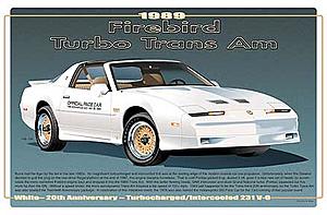 Cars from the 1980's that DID NOT suck . . . .-turbo-trans-am.jpg