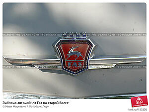 Random thought:  Why are cars in foriegn countries not badged in native language?-vwqka.jpg