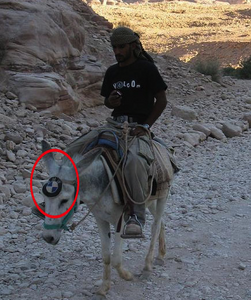 Spy Photos of the next BMW?-agwxq.png