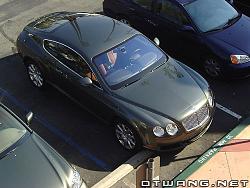 Spotted, Bentley and Ferrari-bent.jpg