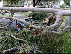 Southern California Winds-winded-lexus.jpg