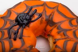 Doughnuts?-crafted-donut-spider-october-27-2016-7466.jpg