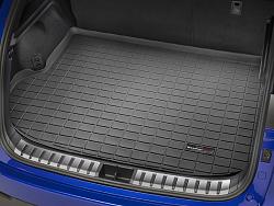 Weathertech + husky liner!! Get your mat today!-lexus_nx_16_40756.jpg