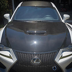 RCF Carbon Fiber Hood-photo742.jpg