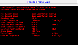 First Engine code..P1410..help!-ffdata-1.png