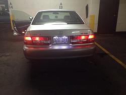 LED OEM License plate lights-image.jpg