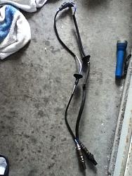 Oxygen Sensor-sensor.jpg