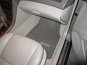 What color floor mats are these?-6elrn.jpg