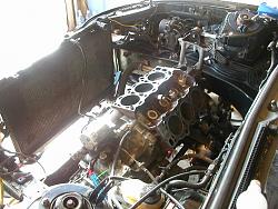 Replaced Front and Rear Valve Cover Gasket!-dscn1475.jpg