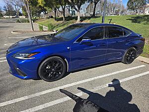 Show me your tinted ES!-20260222_100952.jpg