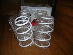 Brand new Tanabe lowering springs for 97-01 es300-dscn4246.jpg