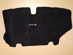 FS:Front and Rear Floor Mats and Cargo Mat-photo-5.jpg