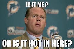 Miami Dolphins Chat Line!-644699_531068193575177_1054857076_n.jpg