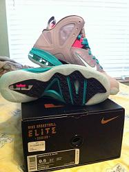 Lebron 9 P.S. Elite size 9.5 South Beaches for sale-285598_10150863951108940_1266615958_n.jpg