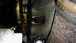 Finally found the source of my oil leak...would this be a valve gasket leak?-theleak.jpg