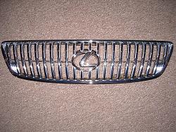 which grille?-dscn0098.jpg