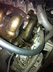 **Help I think I'm losing oil, see pic for details**-engine-pic.jpg