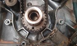 complete 1uzfe gs400 engine removal/timing belt/starter rebuild/reintall-imag0175.jpg