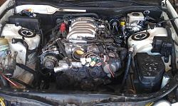 complete 1uzfe gs400 engine removal/timing belt/starter rebuild/reintall-imag0186.jpg