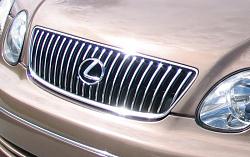 TTE Grill or Stock?-sd-grille.jpg