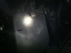 Oil Leaking in engine bay :\-photo-4-2-.jpg