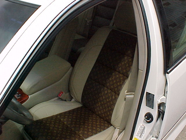Louis Vuitton Car Seat Cover Philippines