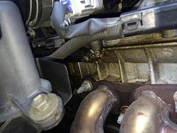 Oil leak? Please help-image.jpg