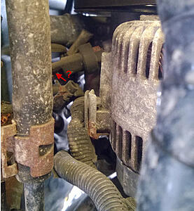 Mysterious loose hose in the engine bay-svdaykj.jpg