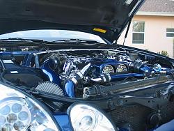 What's under your hood?-superbowl-bbq-065aa.jpg