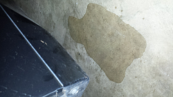 Water on the floor in the rear seat carpet-forumrunner_20151203_185618.png