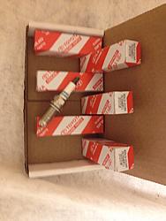 Good deal on OEM Spark plugs-90919_01249.jpg