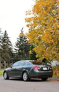 Fall Photos-mon1qz9.jpg