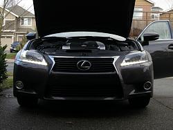 v3 triton LED-img_0147.jpg