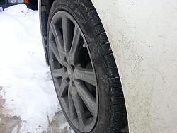 First winter casualty-img_20150221_095543.jpg