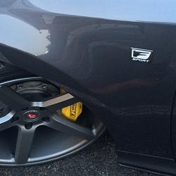 Red brake calipers-img_1715.jpg