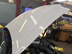 Paint Protection Film...-xpel-4.jpg