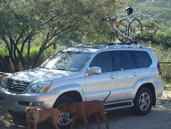 Roof bike rack on the GX ????-p8200020.jpg